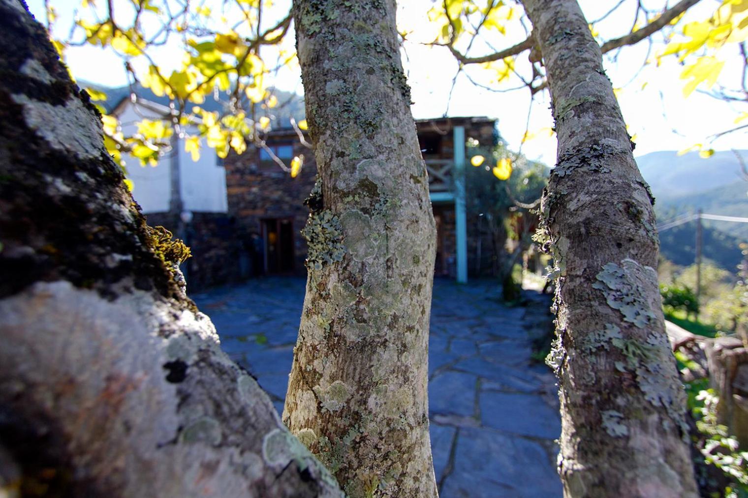 Casa Da Figueira - Rio Paiva Villa Arouca Bagian luar foto