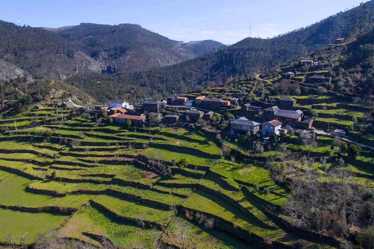 Casa Da Figueira - Rio Paiva Villa Arouca Bagian luar foto