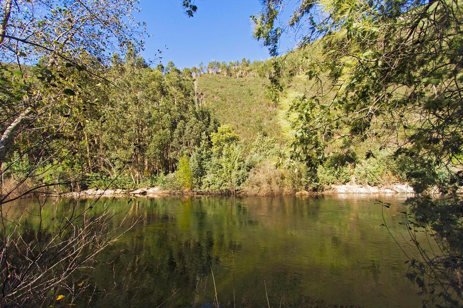 Casa Da Figueira - Rio Paiva Villa Arouca Bagian luar foto