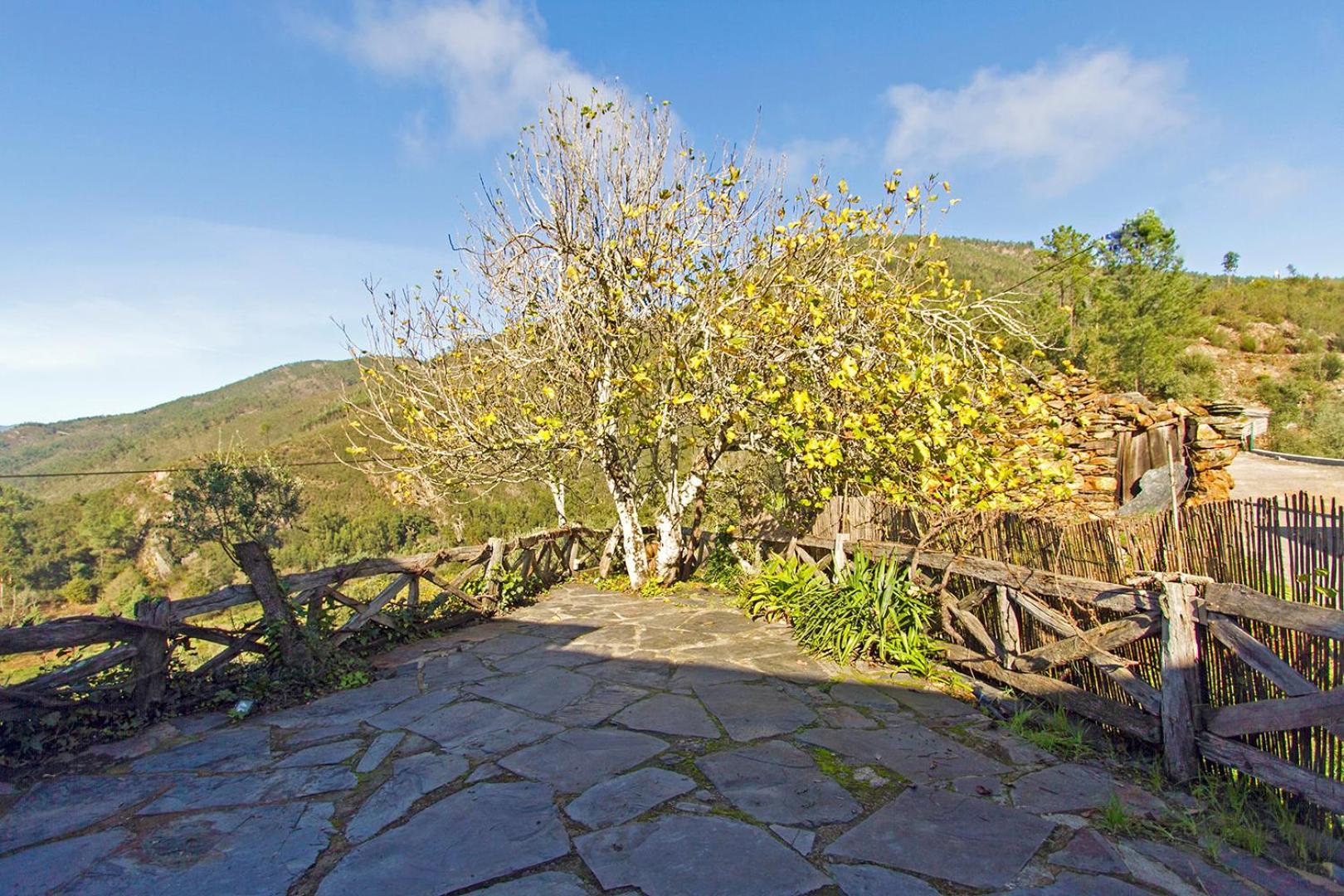 Casa Da Figueira - Rio Paiva Villa Arouca Bagian luar foto